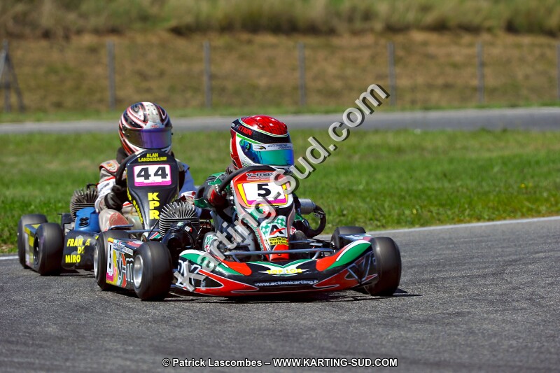 DSC_ (1502).jpg